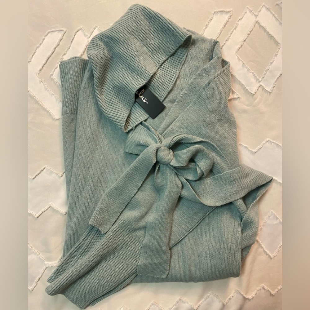 NWT lulus sweater dress